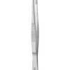 Standard Pattern Forceps  Straight  13cm