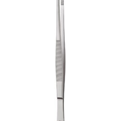 Standard Pattern Forceps  Straight  20cm