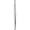 Taylor Forceps  Straight