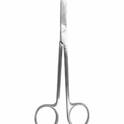 Student Sanvenero Scissors Straight