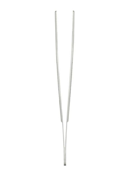 Student Standard Pattern Forceps Straight