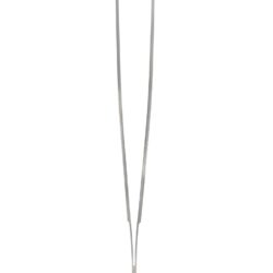 Student Standard Pattern Forceps Straight