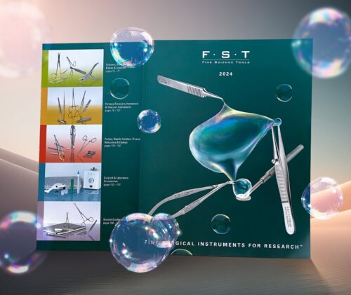 fst catalogue 2023-2024